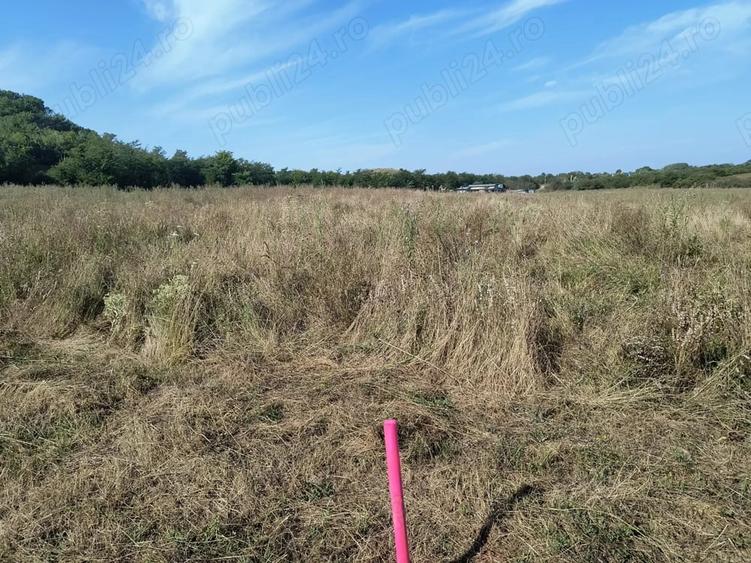 Teren de 7500 mp, în Băicoi