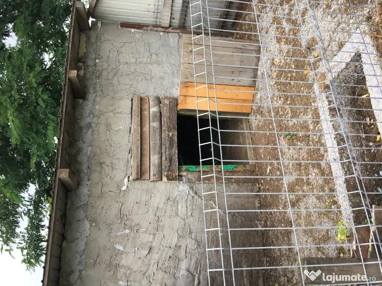 Casă cu 4 camere în Viișoara