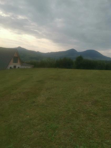 Teren de 9957 mp, în Mogoș