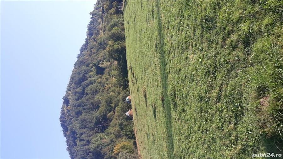 Teren de 6400 mp, în Central