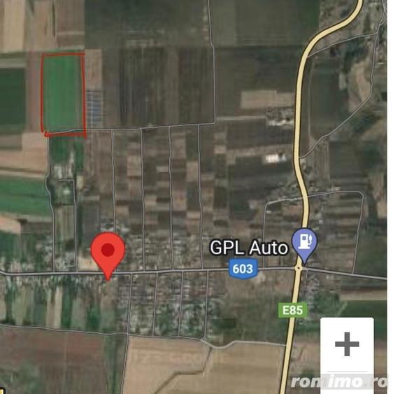 Teren de 15000 mp, în Uzunu