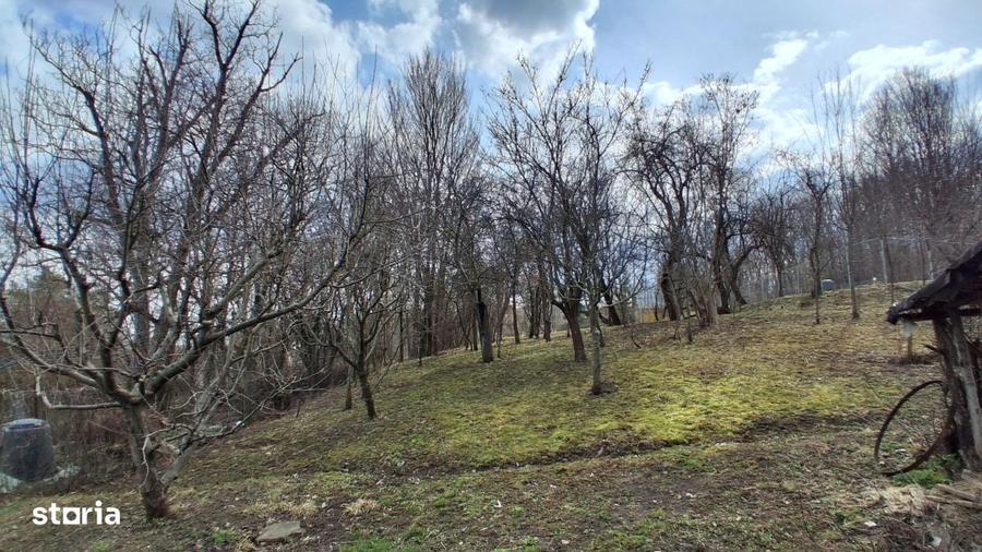 Casa cu teren generos de vanzare in Poiana Campina - 10