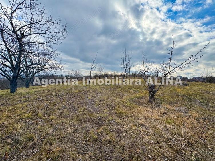 Teren de 500 mp, în Călugareni