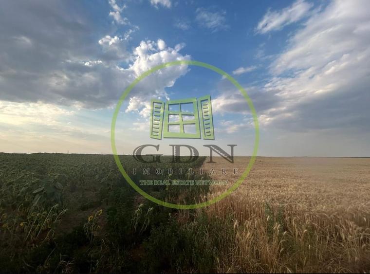 Teren Construcții intravilan de 9500 mp, în Cârcea
