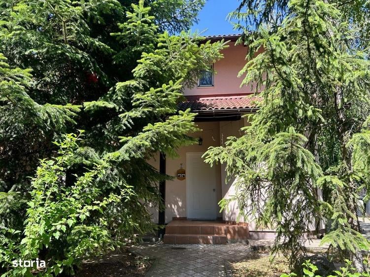 Resedinta 5 camere, cu Padure Privata, Paradisul Verde, teren 1735mp - 7