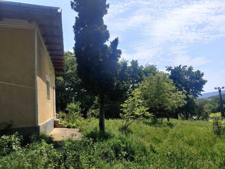 Spațiu comercial, de 1,500 mp, în Pârcovaci