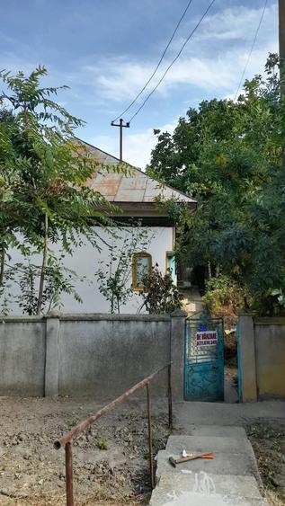Casă cu Teren 3000 Mp în Vânători