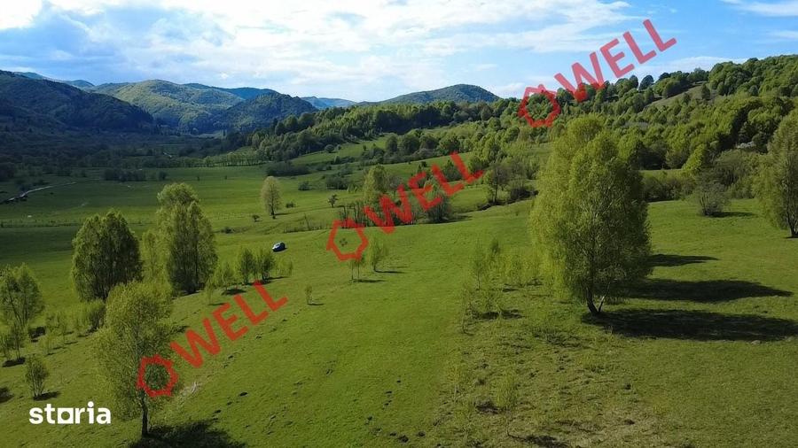 Teren de 1740 mp, în Vama Buzăului
