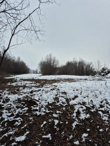 Teren de 2100 mp, în Cărbunari
