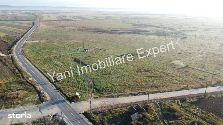 Teren de 5000 mp, în Oarja