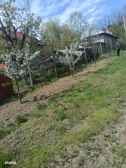 Casă cu 2 camere cu Teren 2500 Mp în Bogați