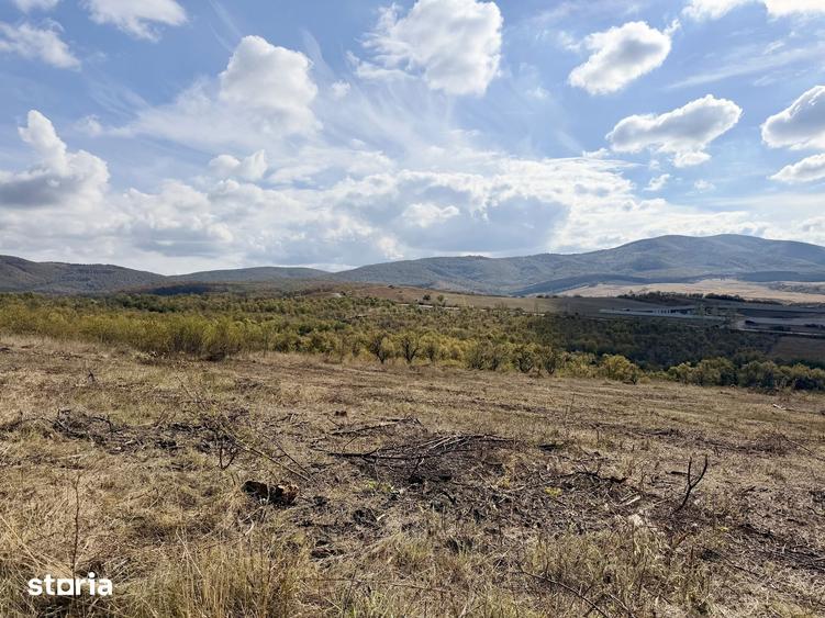 Teren de 6900 mp, în Central