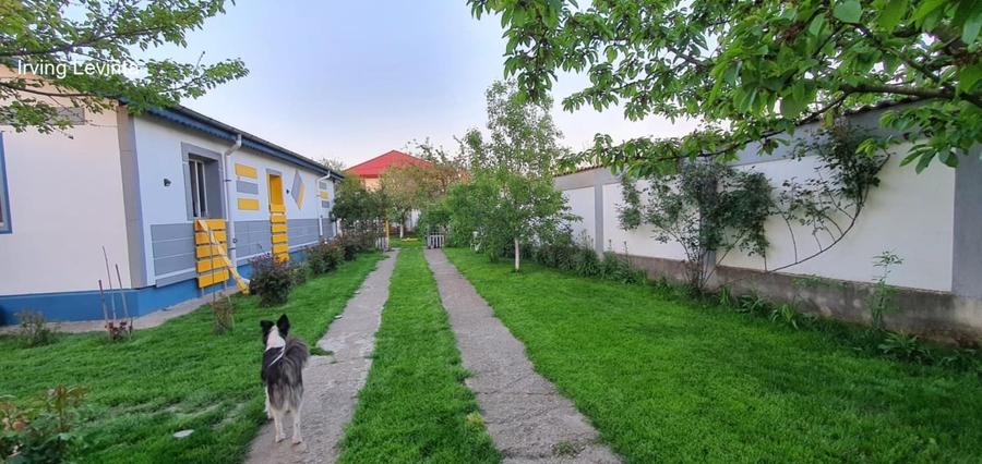 Casă individuală cu 3 camere cu Teren 450 Mp în Cernica