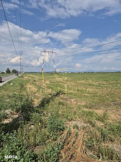 Teren 21.000 mp Ghimbav Hale industriale, parc logistic, depozitare - 1