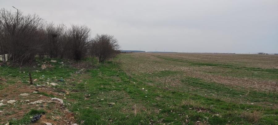 Teren Construcții intravilan de 5000 mp, în Tânganu