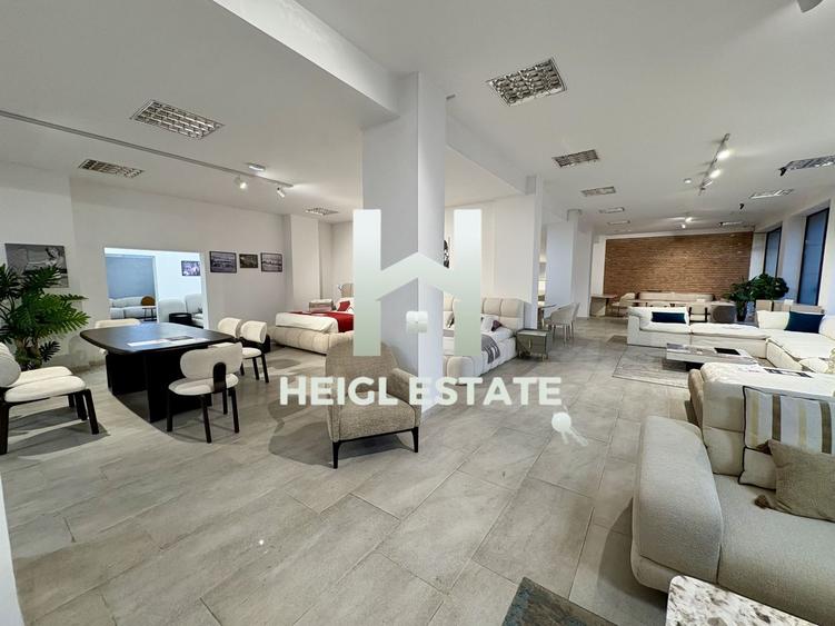 Spațiu comercial, de 470 mp, în Șagului