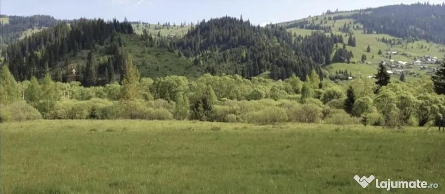 Vand teren in Vatra Dornei (strada Rosu) - 3