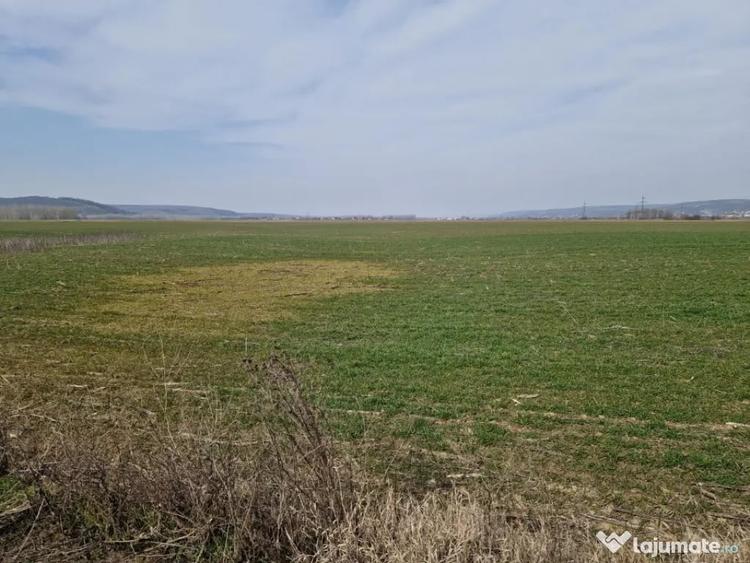 Teren în Șimnicu de Sus