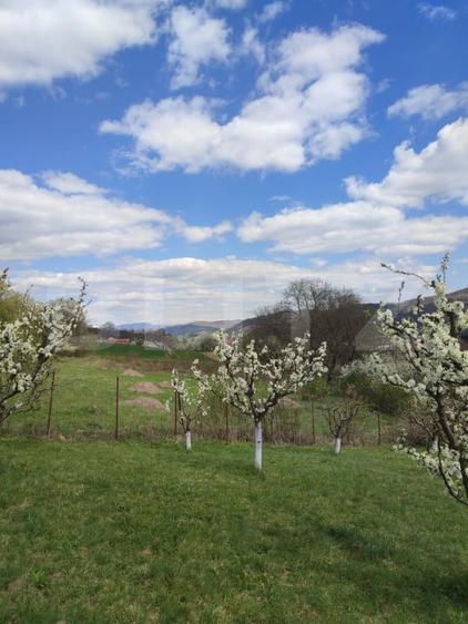 Teren agricol intravilan de 3300 mp, în Năsăud