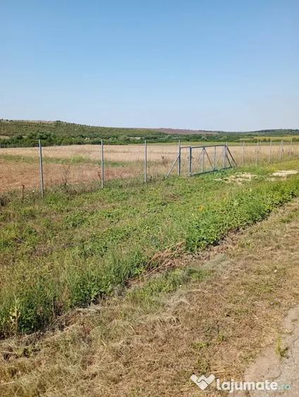 Teren de 6100 mp, în Bencecu de Jos