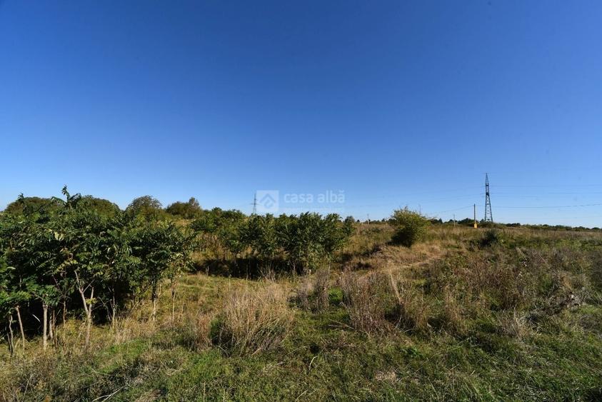 Teren Construcții intravilan de 10000 mp, în Bucium
