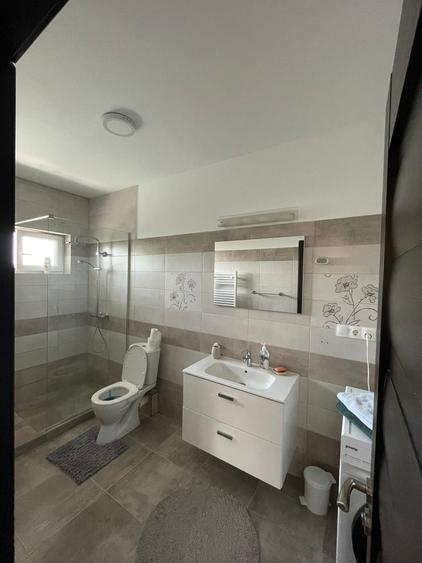 Apartament Unirii de inchiriat - 2