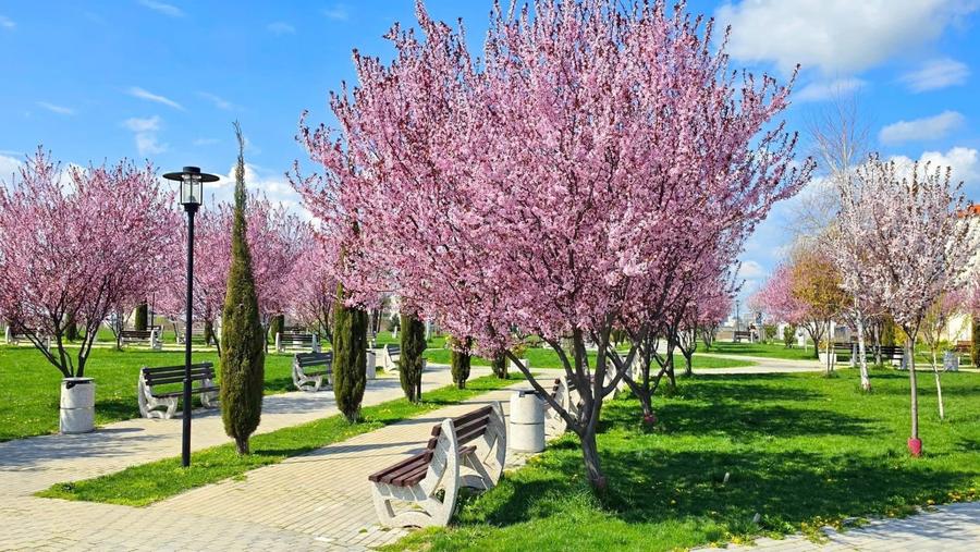 Apartament cu 3 camere decomandat, mobilat în Tomis Nord