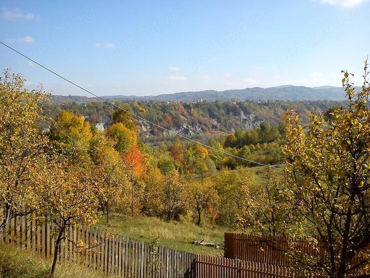 Casă cu Teren 1500 Mp în Lunca Mare