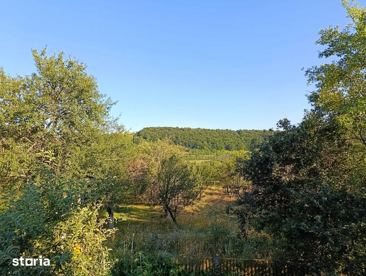 Casă cu 3 camere cu Teren 3500 Mp în Boiu Mare