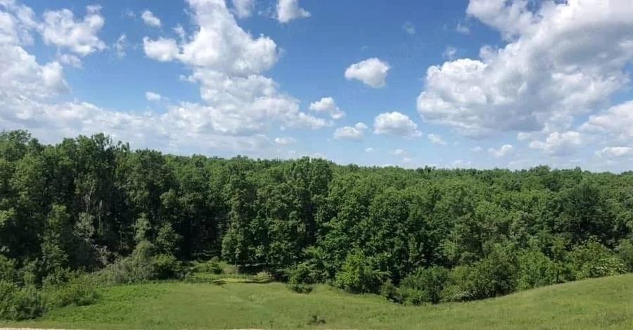 Teren de 7700 mp, în Letca Veche