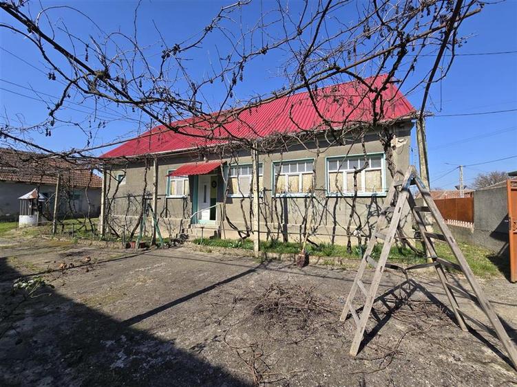 Casă cu 3 camere cu Teren 3309 Mp în Husasău de Tinca