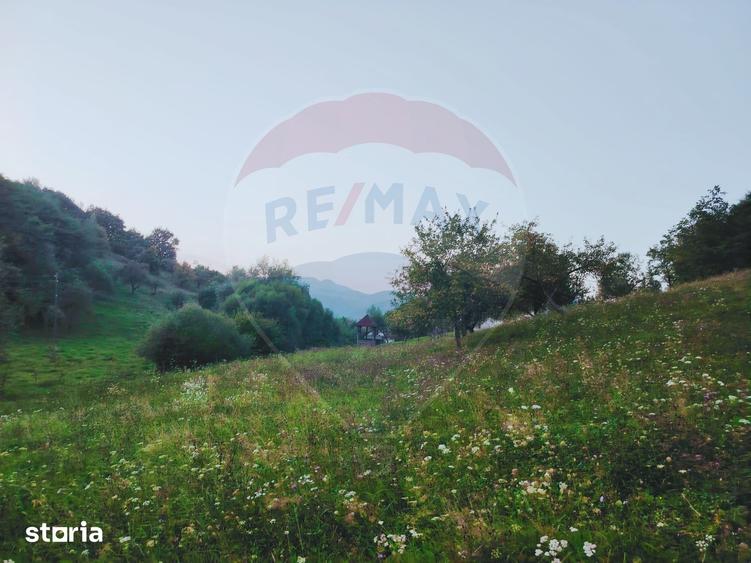 Teren de 2339 mp, în Bârsana