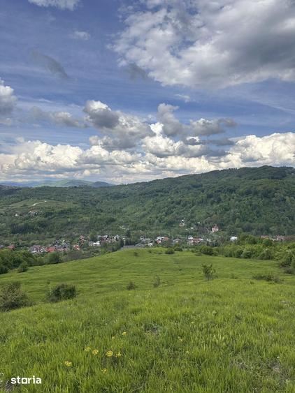 Teren de 115367 mp, în Runcu