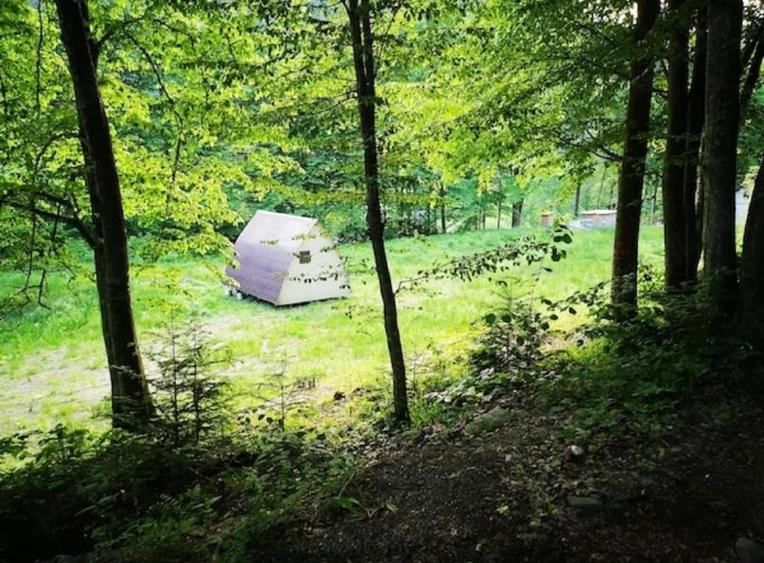 Teren intravilan de 3275 mp, în Tarcău