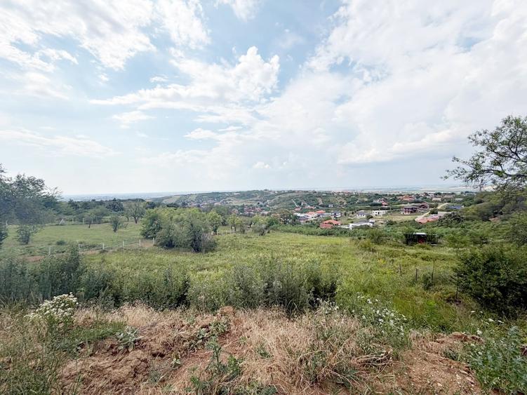Teren Construcții de 6372 mp, în Dealuri Oradea