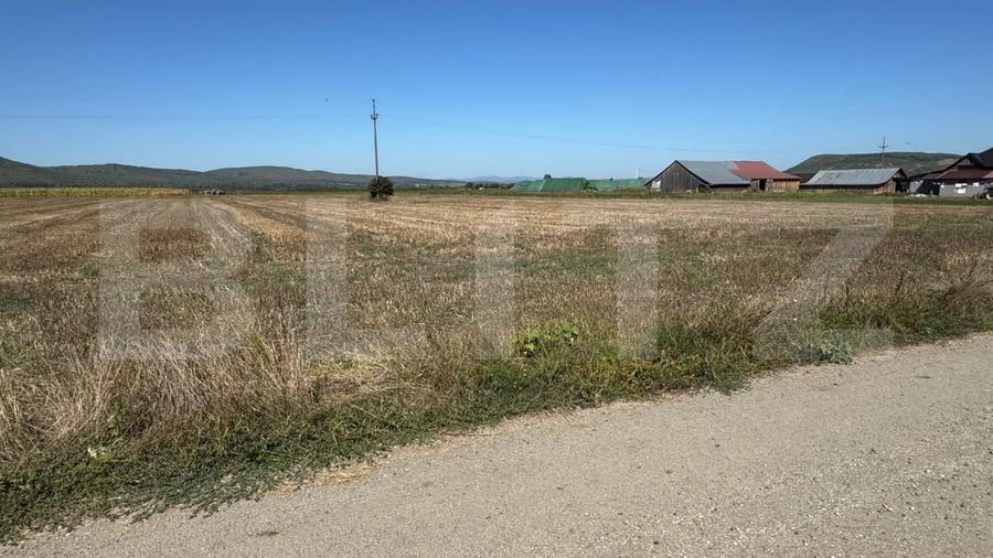 Teren Construcții intravilan de 2250 mp, în Sud