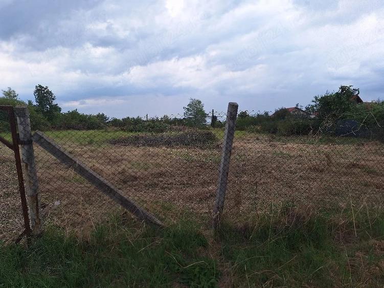 Teren de 2370 mp, în Moșoaia