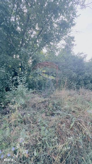Teren de 1170 mp, în Leamna de Jos