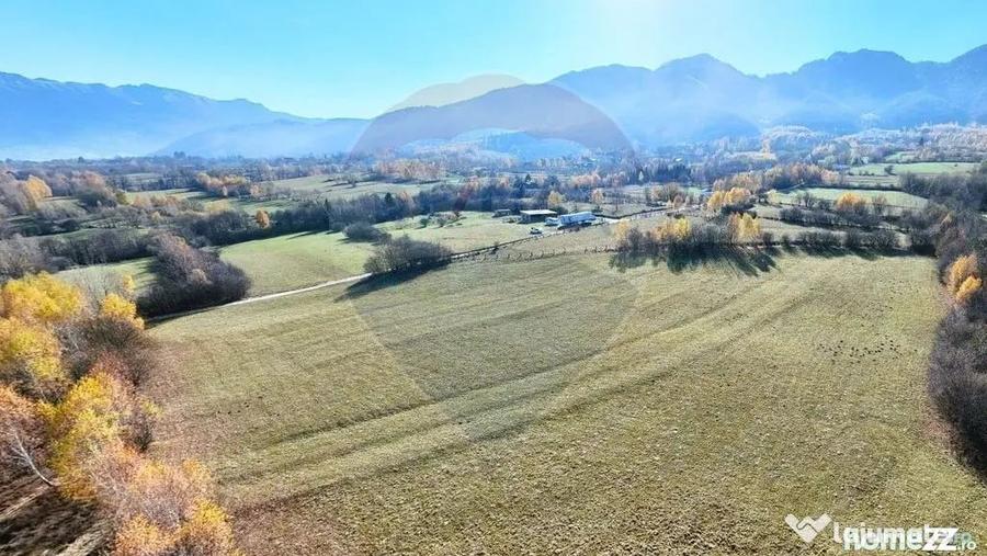 Teren în Tohănița