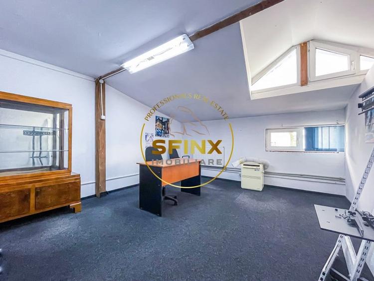 Spațiu industrial, de 123.4700012207 mp, în Theodor Pallady