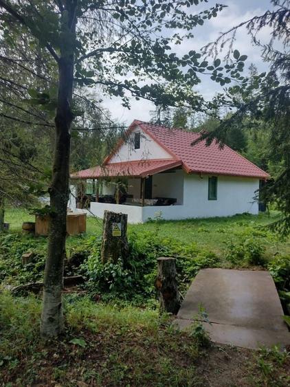 Casă cu 2 camere în Lepșa