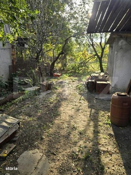 Casă cu 3 camere în Viișoara