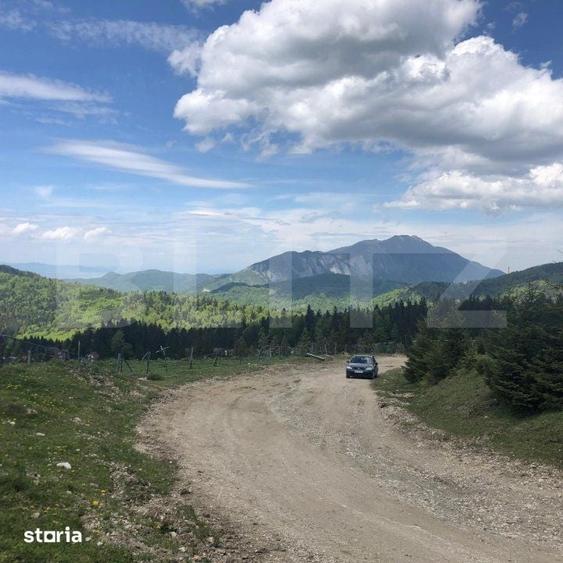 De vanzare, teren intravilan 5.500mp, Predeal - 4