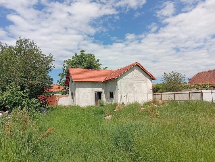 Casă cu 2 camere în Bârsa
