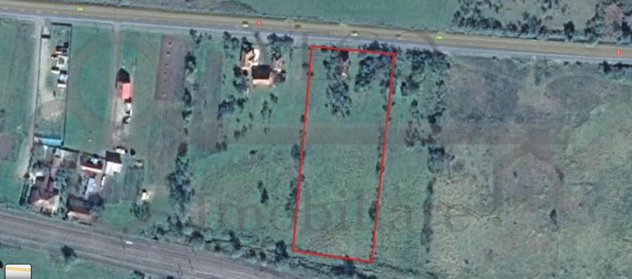 Teren Construcții intravilan de 8000 mp, în Morlaca