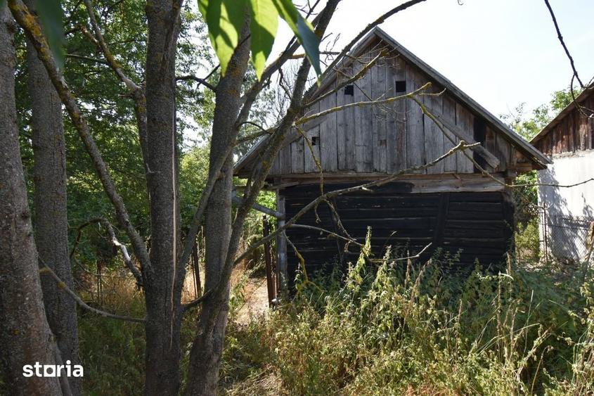 Casă cu 3 camere cu Teren 1500 Mp în Sava