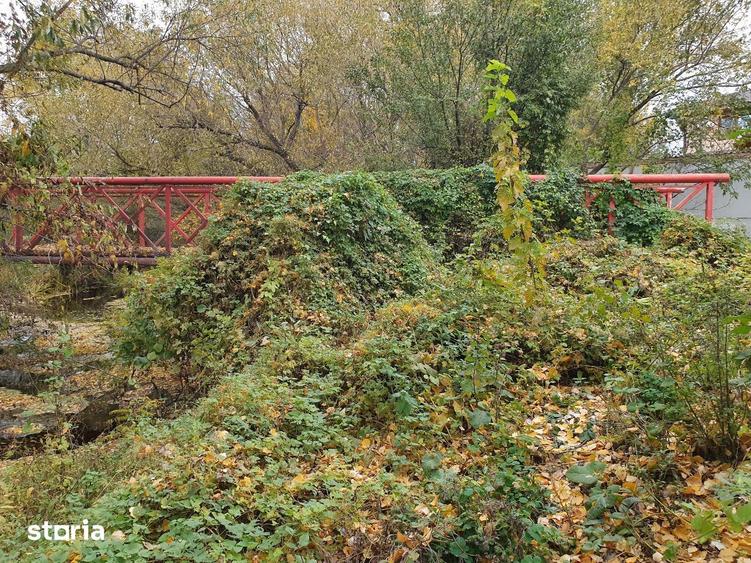 Teren de vanzare Dumbrava Minunata in Domnesti, Ilfov - 11