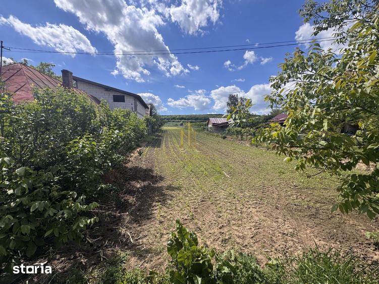 Teren de 2900 mp, în Adâncata