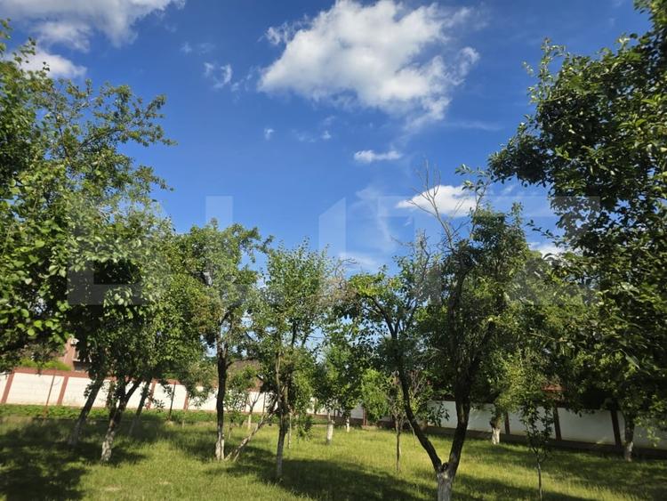 Teren Construcții intravilan de 1227 mp, în Titu