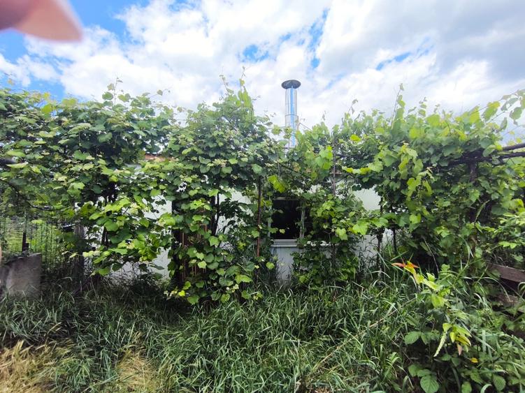 Casă individuală cu 2 camere cu Teren 7592 Mp în Dochia